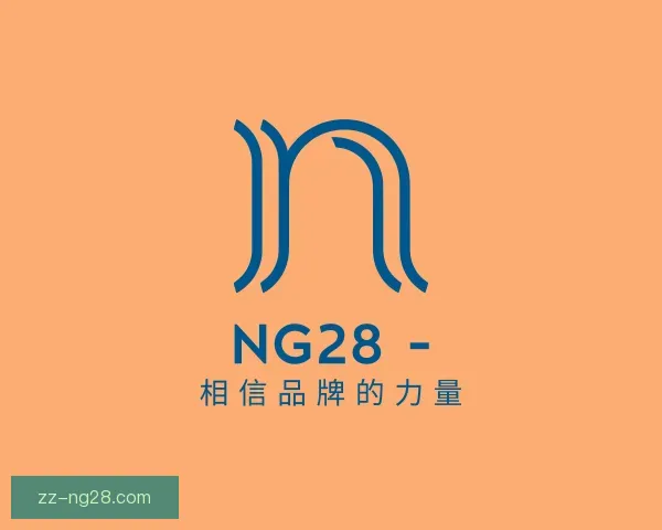关于NG28
